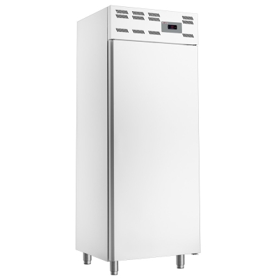 Armoire congelation 20x EN 600x400, statique, (500 Lit.) - Skinplate blanc WR-50WS-N
